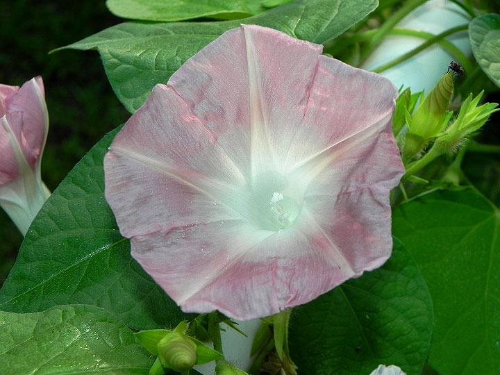DSCN1426