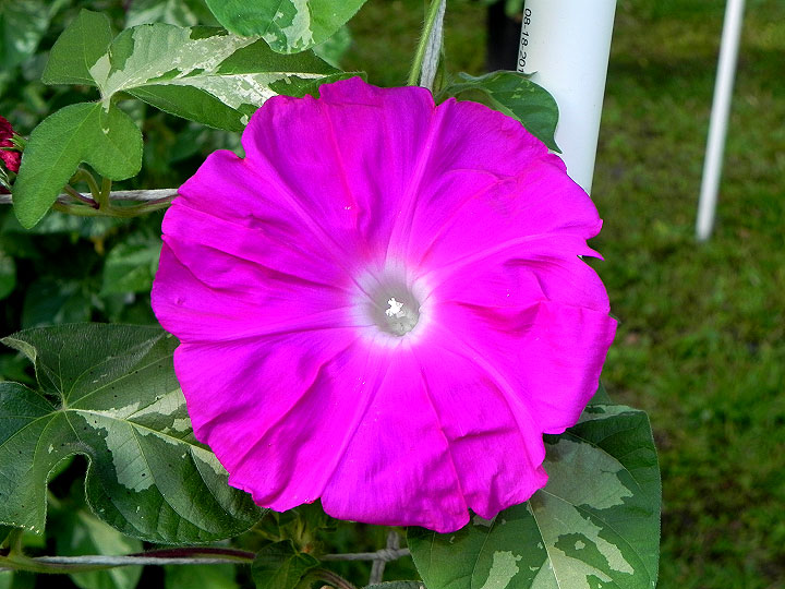 DSCN1432
