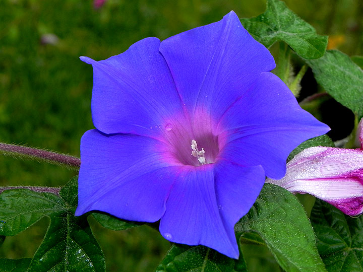 DSCN1452