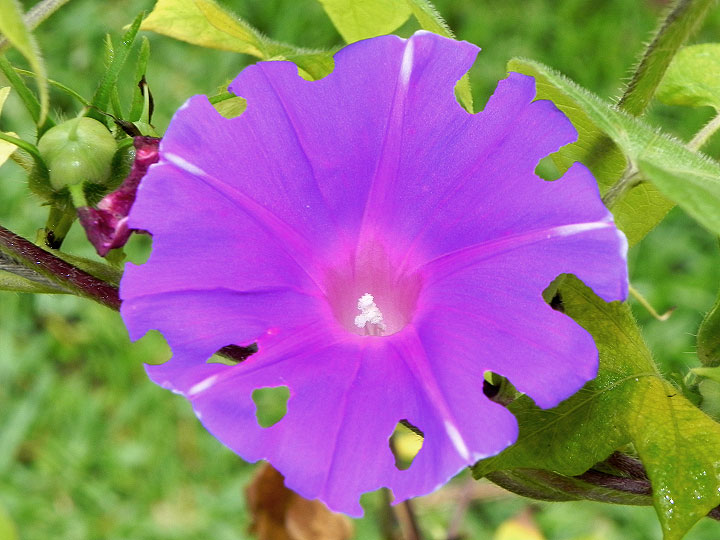 DSCN1477
