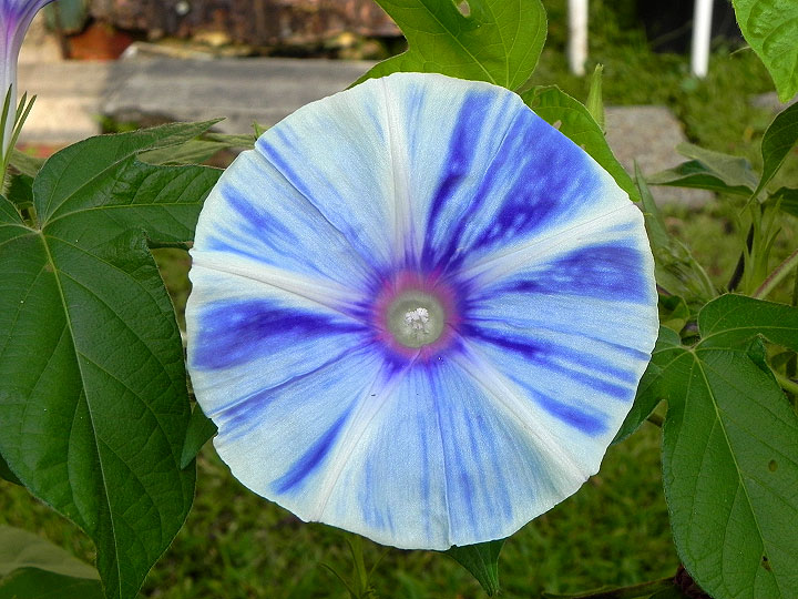 DSCN1480