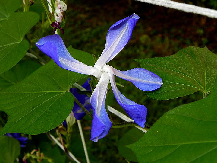 DSCN1485