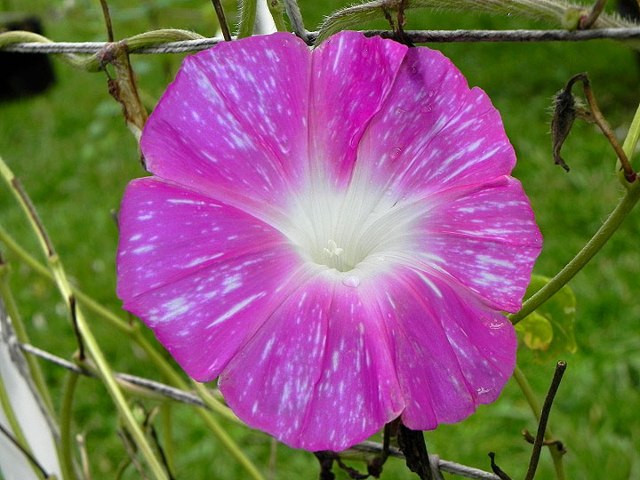 DSCN1500