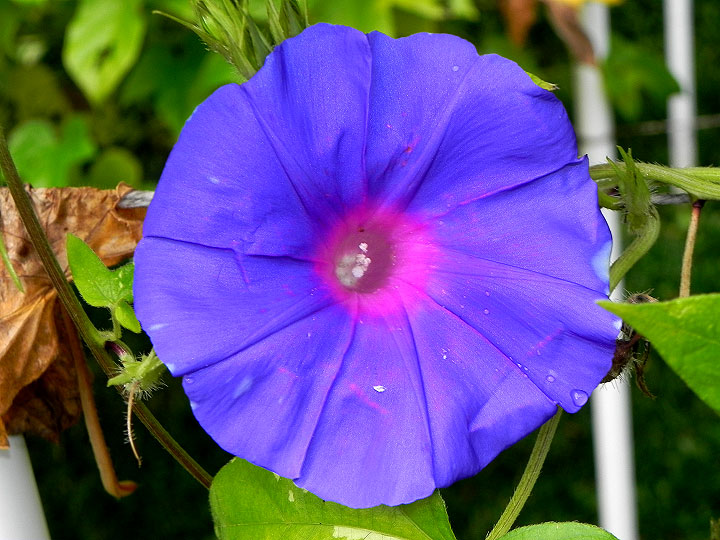 DSCN1519