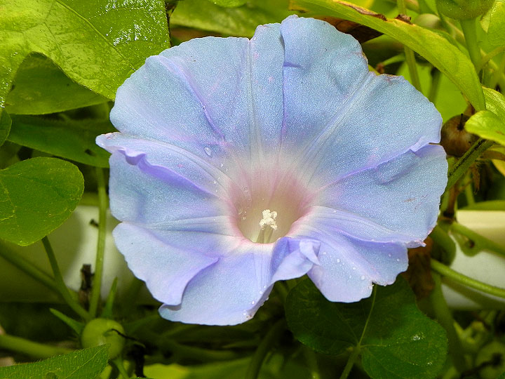 DSCN1521
