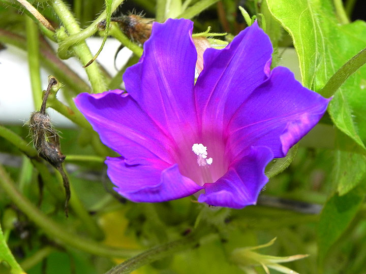 DSCN1538