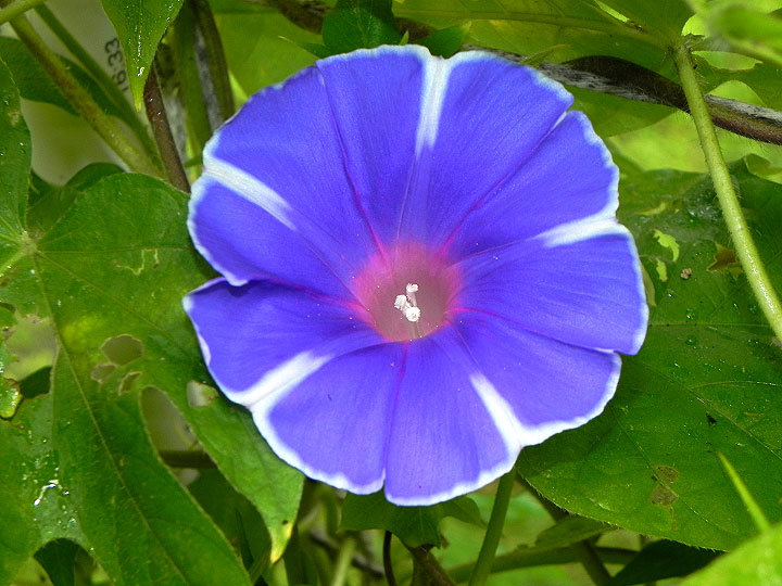 DSCN1541