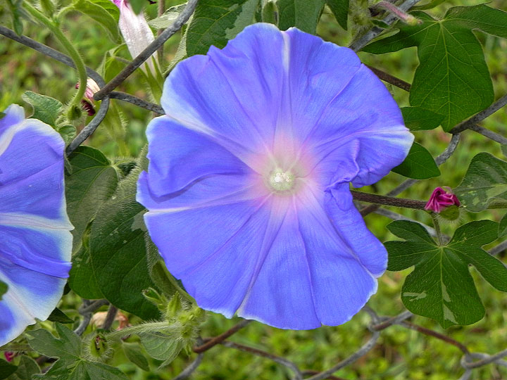 DSCN1574