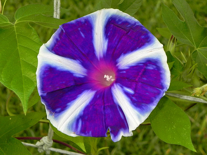 DSCN1631