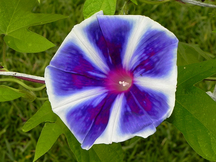 DSCN1632