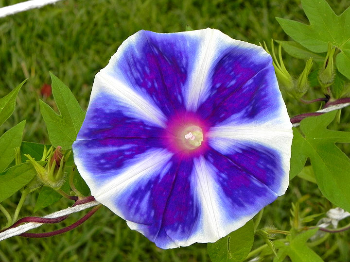 DSCN1633