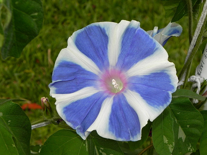 DSCN1638
