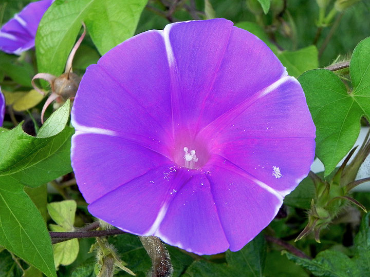 DSCN16402