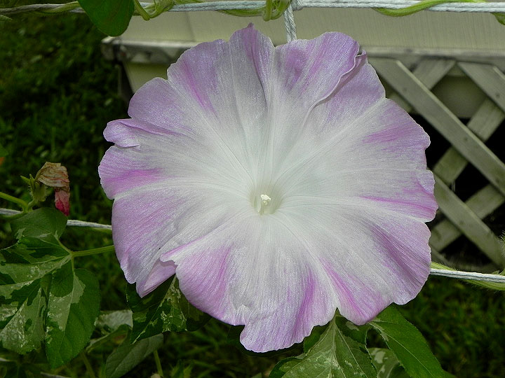 DSCN1644