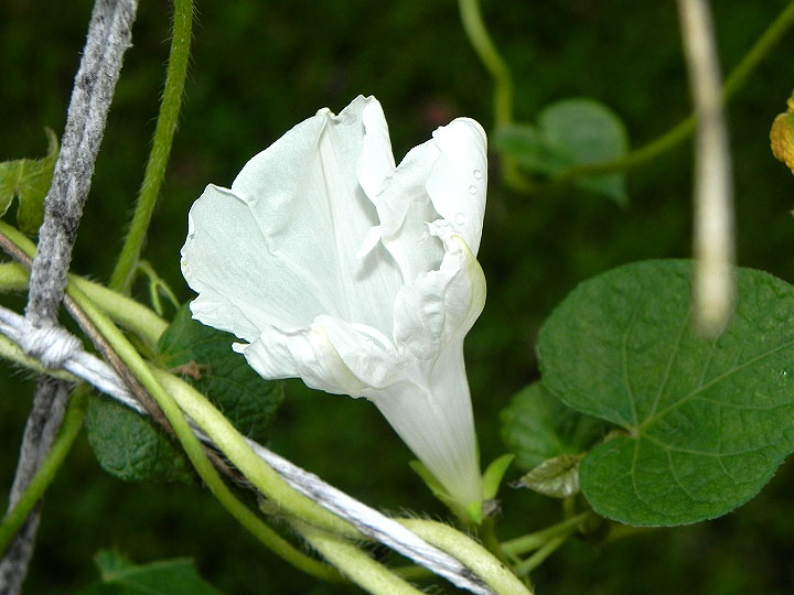 DSCN1662