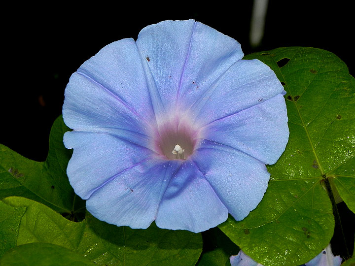DSCN1685