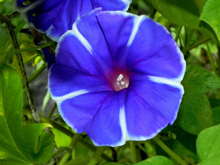 DSCN1707_01