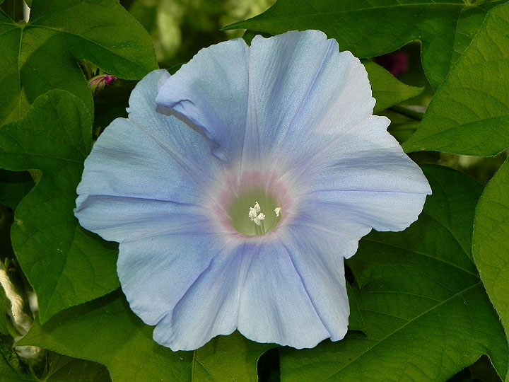 DSCN1740