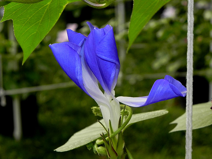 DSCN1758
