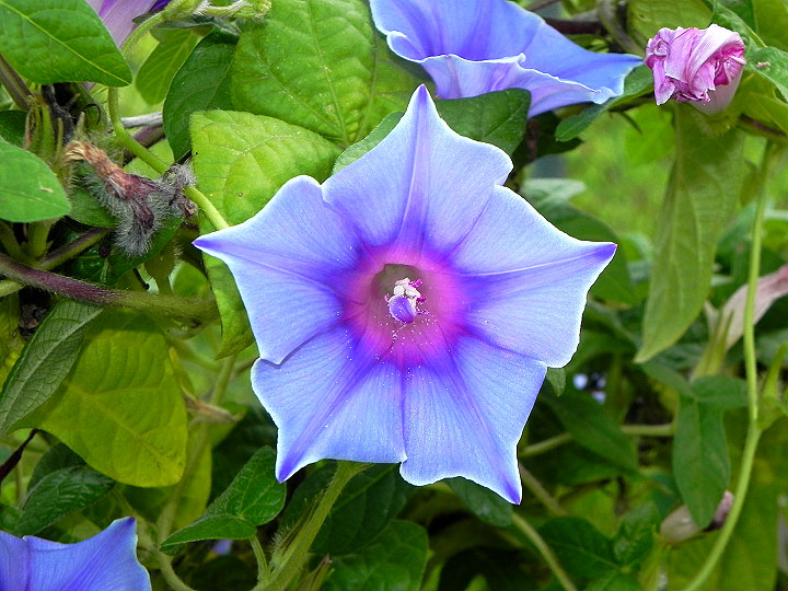 DSCN1760