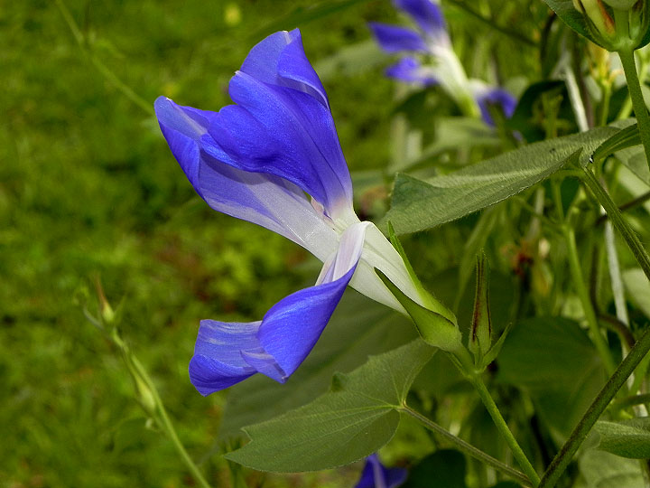 DSCN1764
