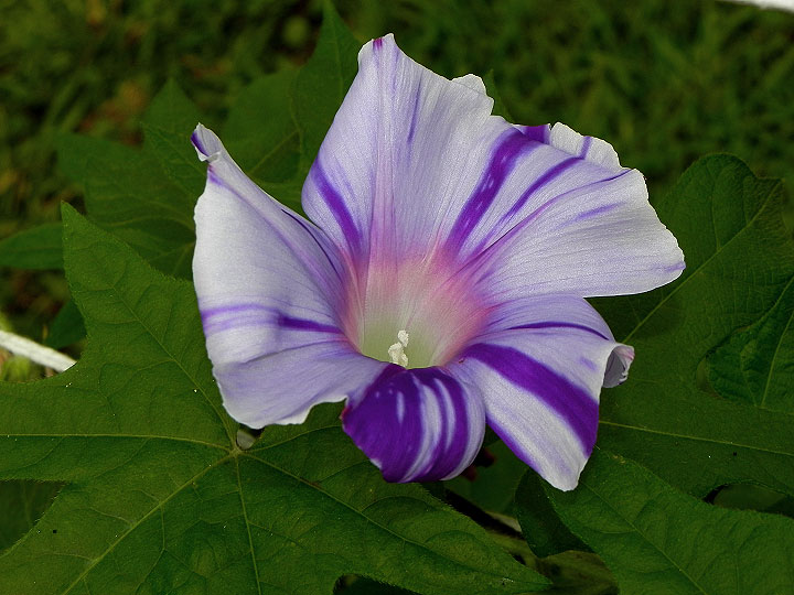 DSCN1767