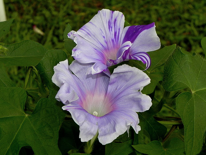 DSCN1768