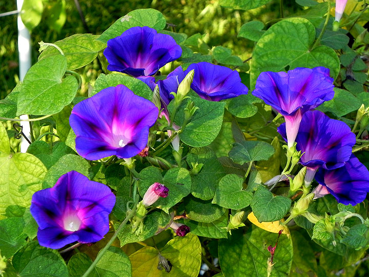 DSCN1838