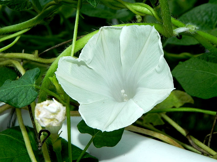 DSCN1844