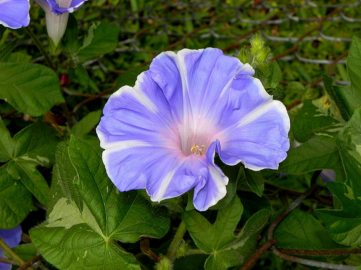 DSCN1846