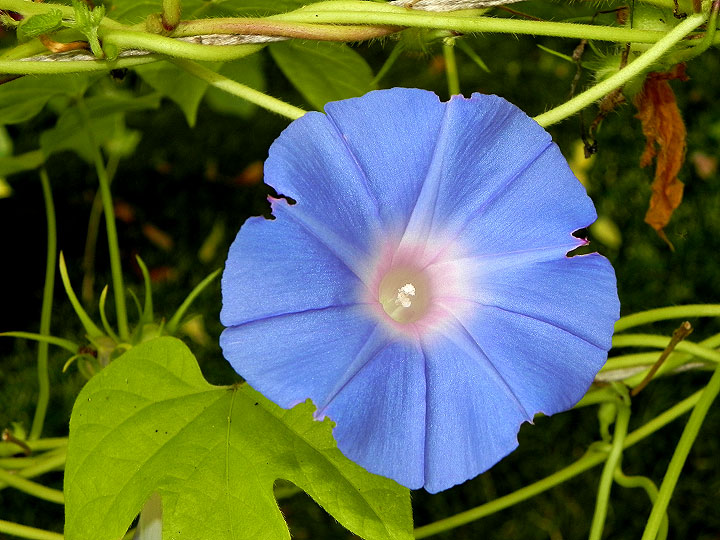 DSCN1872