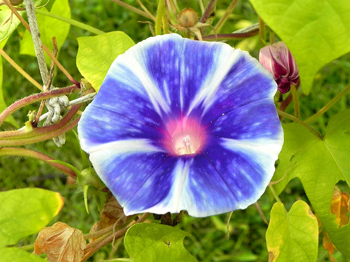 DSCN1888
