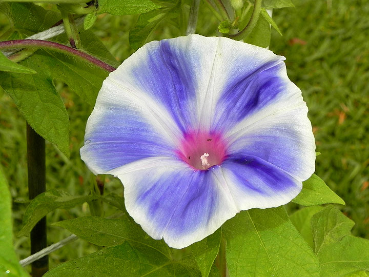 DSCN1898