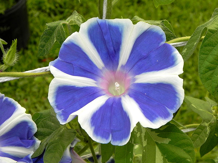 DSCN1907