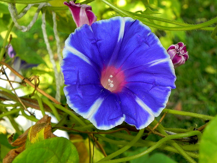 DSCN1907