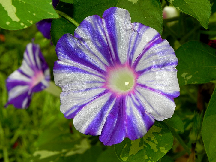 DSCN1916