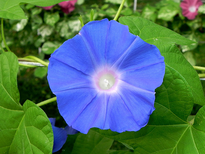 DSCN2024