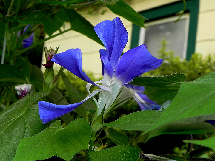 DSCN2047