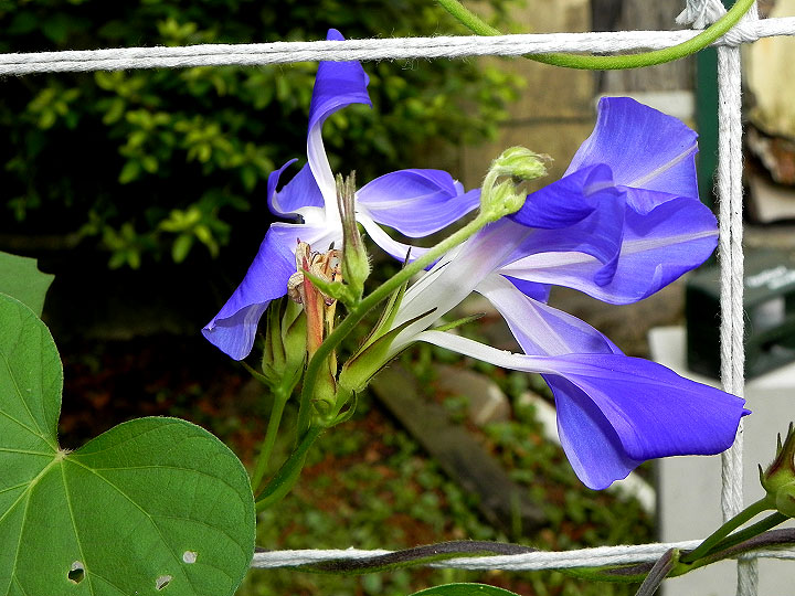 DSCN2048