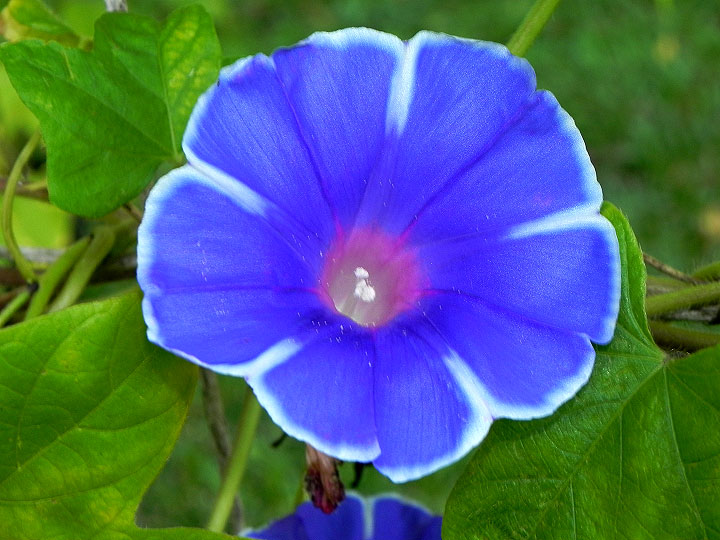 DSCN2101