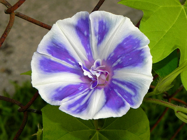 DSCN2125