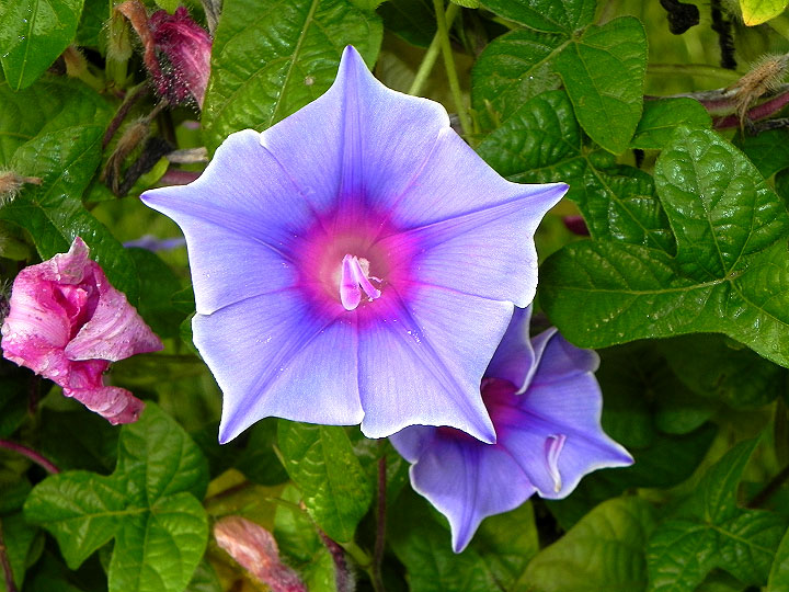 DSCN2144