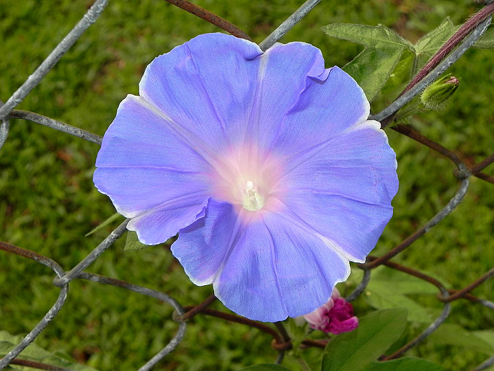 DSCN2155