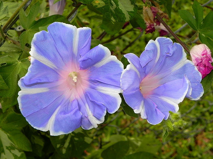 DSCN2156