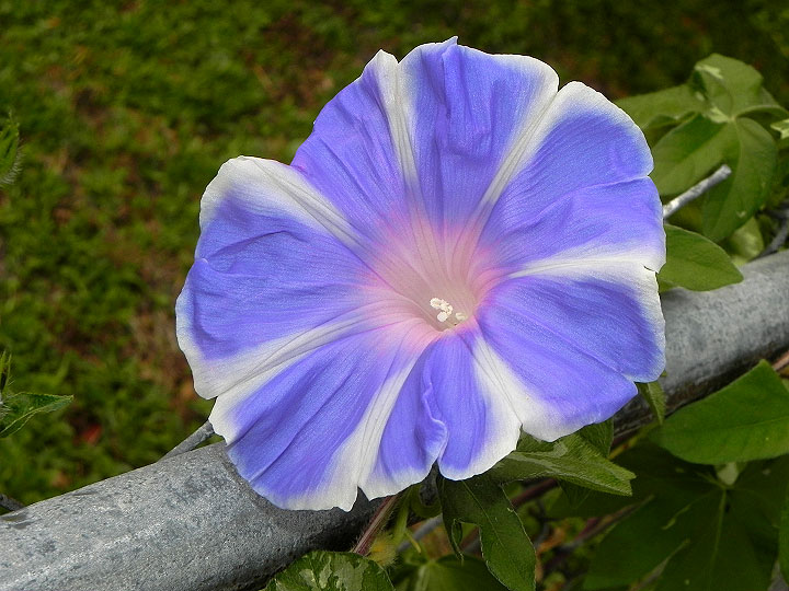 DSCN2157
