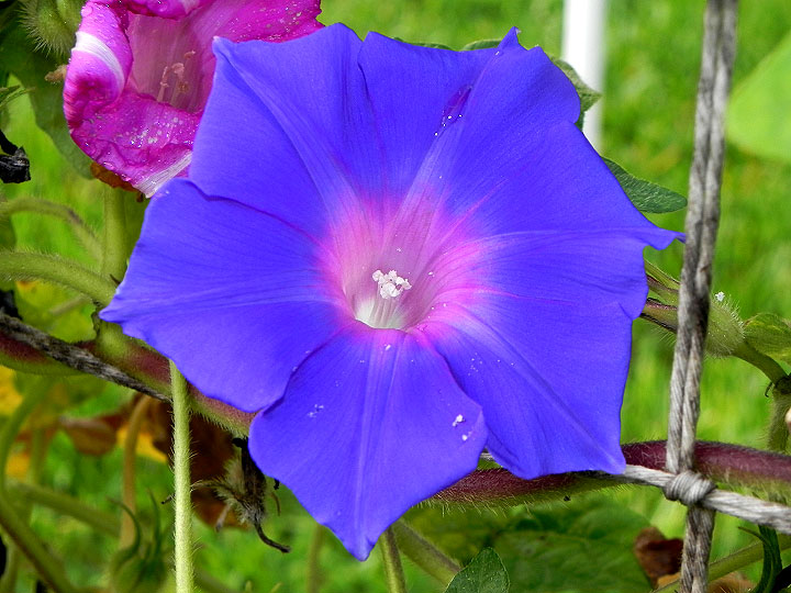 DSCN2159