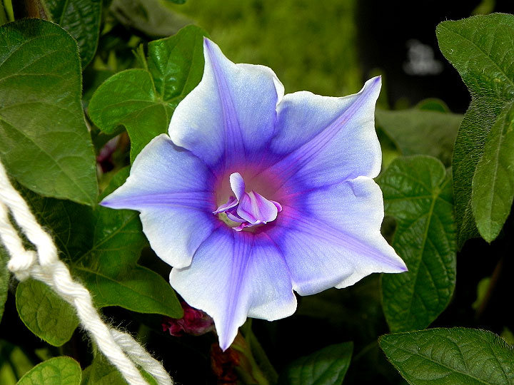 DSCN2174