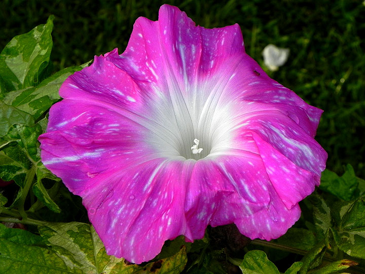 DSCN2199