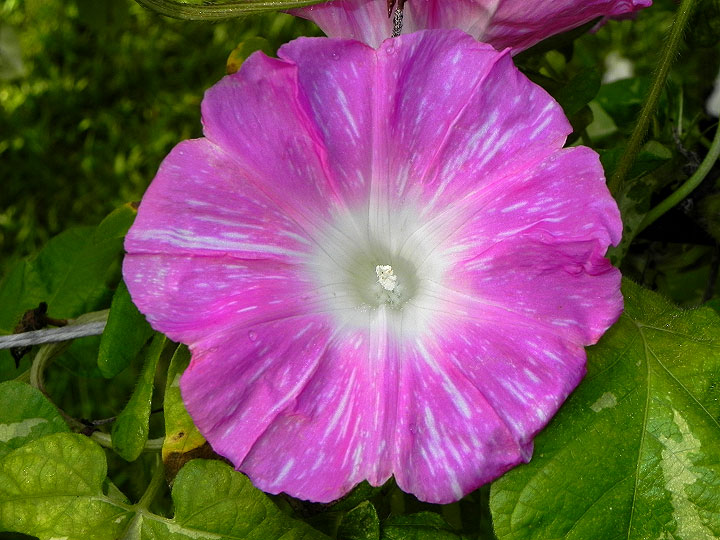 DSCN2200