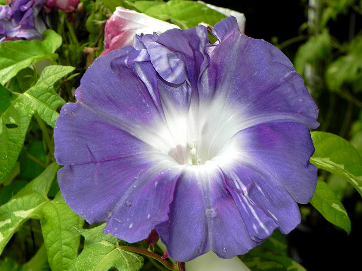 DSCN2225
